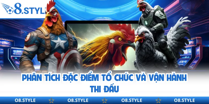 Phân tích đặc điểm tổ chức và vận hành thi đấu